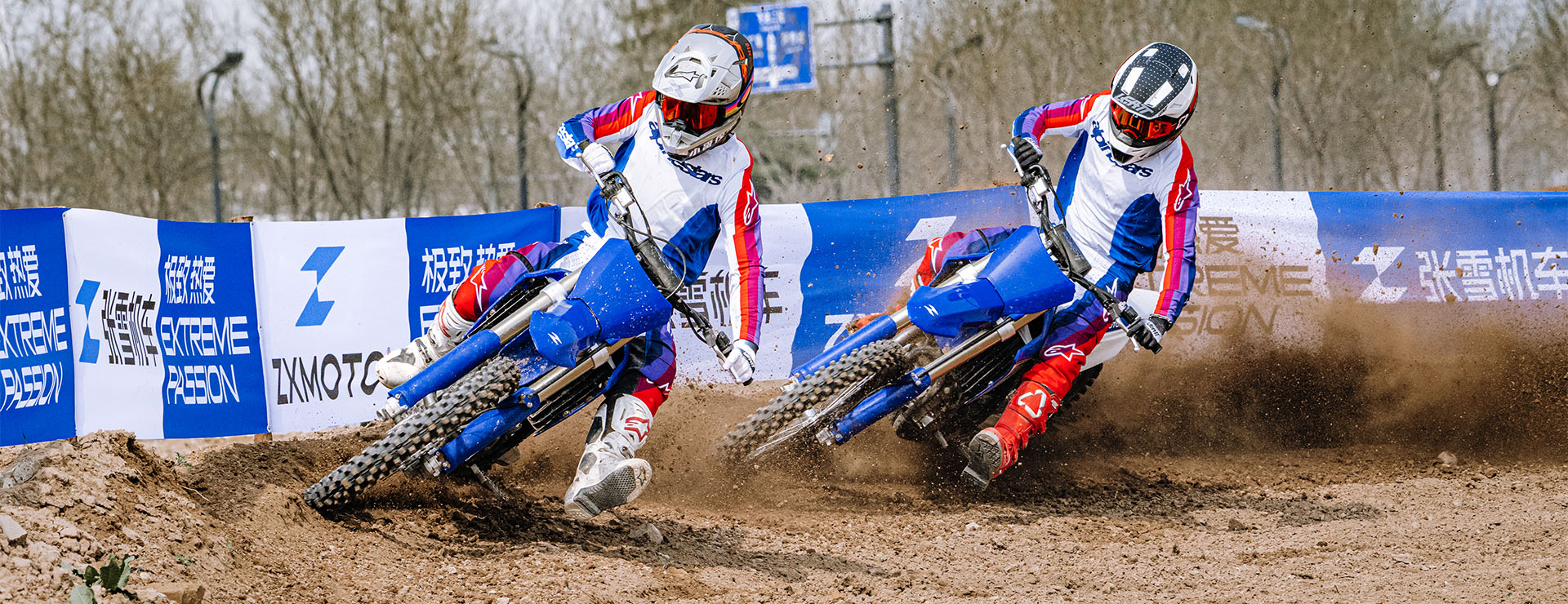 ZXMX250 2